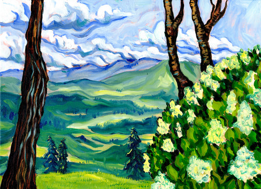 Forest View - Original Oil Painting