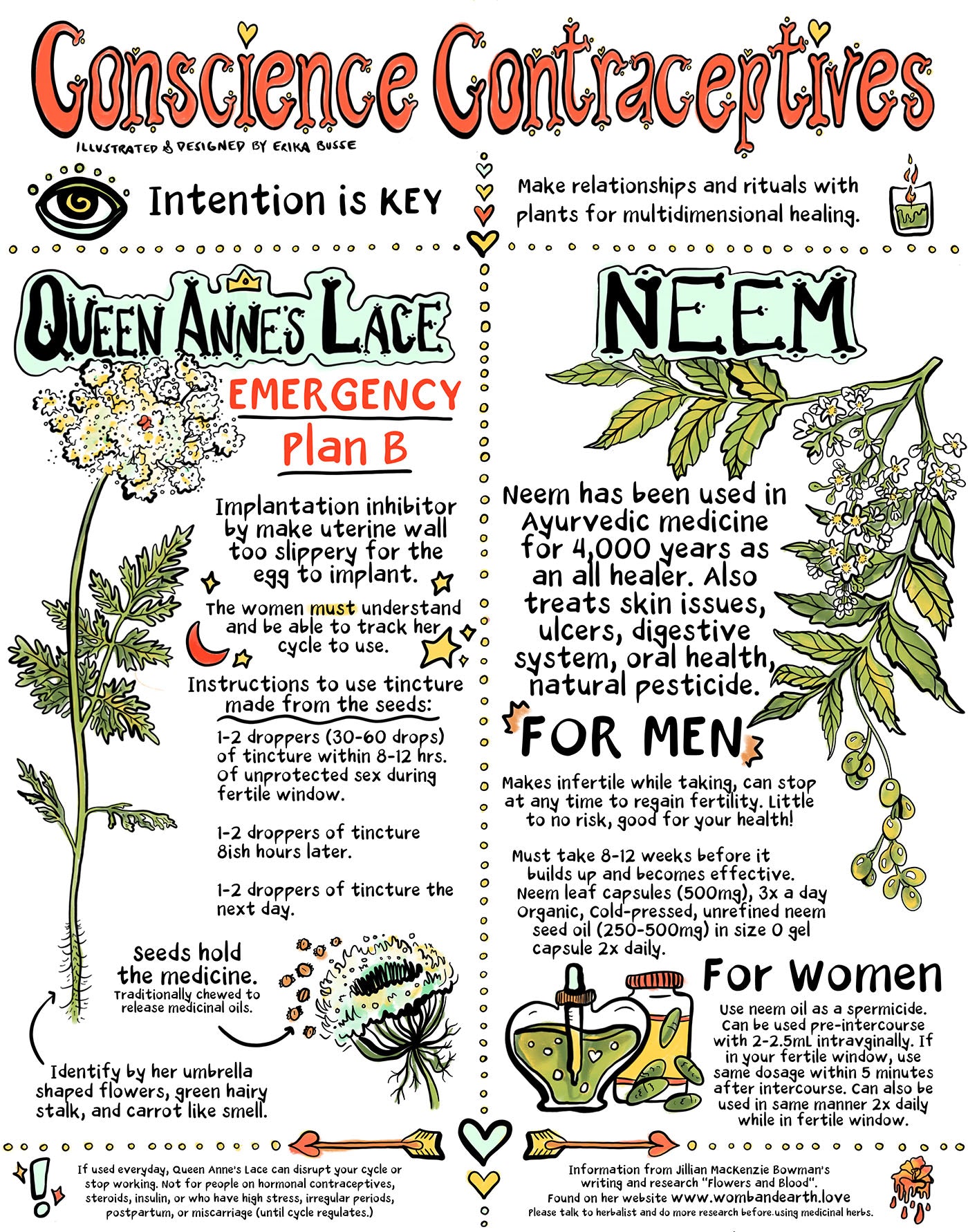 Conscious Contraceptives- Herbal Chart Illustration