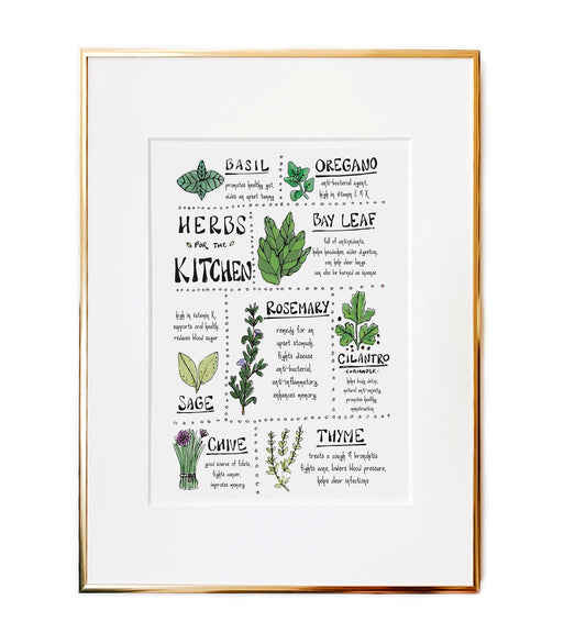 Kitchen Herbs - Herbal Chart Illustration